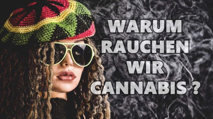 warum-rauchen-wir-cannabis warum-rauchen-wir-cannabis