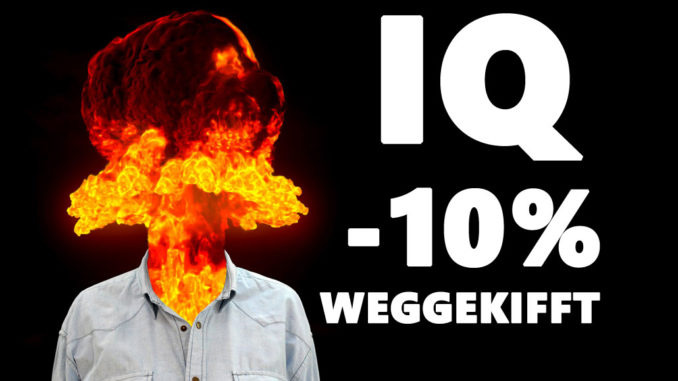Hirn weggekifft Hirn weggekifft