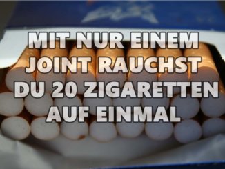 Ein Joint ist so schädlich wie 20 Zigaretten