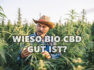 Ein Schweizer Bio-Landwirt mit Strohhut betrachtet die Nutzhanfpflanzen auf seinem Feld unter freiem Himmel CBD BIO ÖL