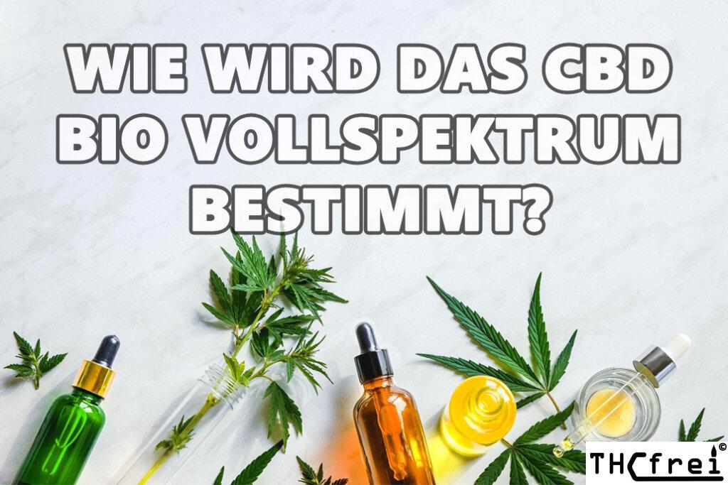 Eine Reihe von Nutzhanfblättern und Bio-Vollspektrum CBD-Ölen und in unterschiedlichen Konzentrationen und Formaten CBD Bio Öl